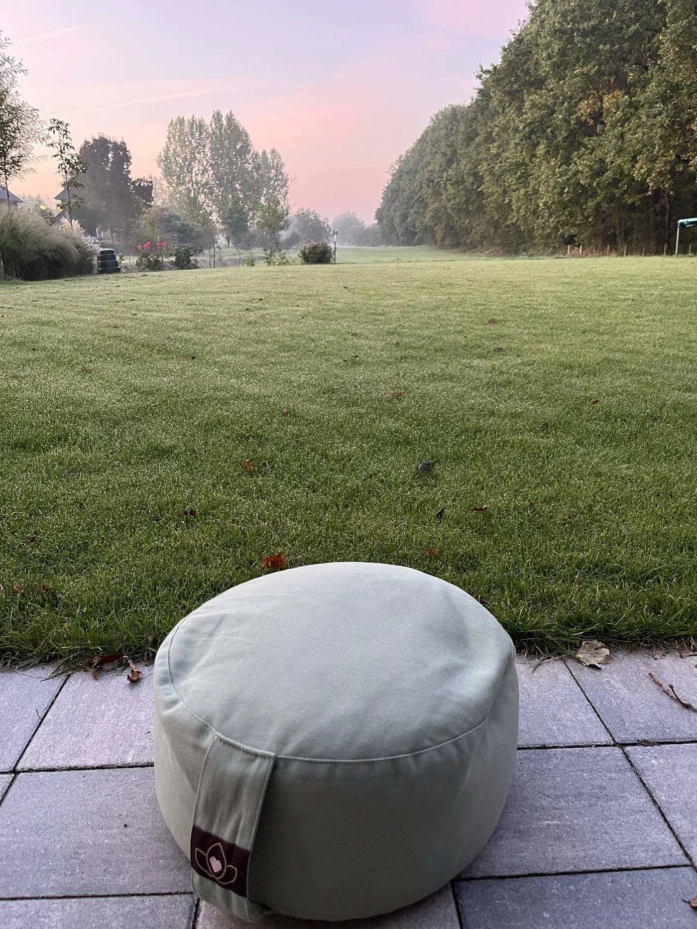 Vroege ochtend aan de rand van het park