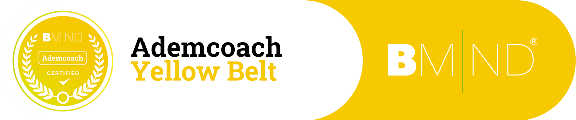 Yellow belt coach